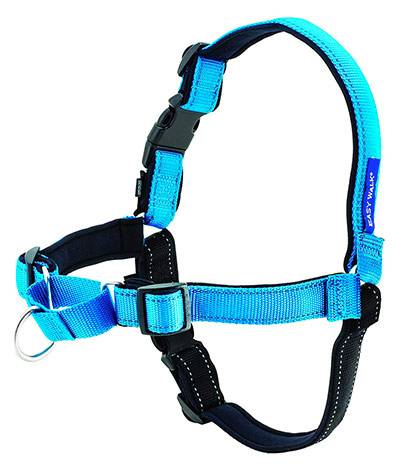 Best Cockapoo Harness (No Pull, Puppy and Adult) | Cockapoo HQ