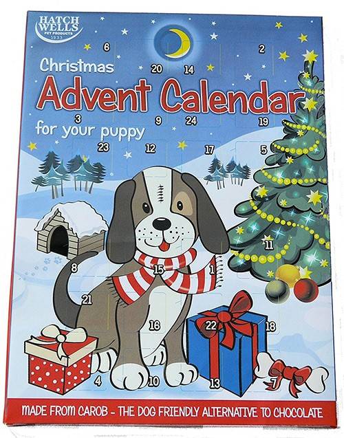 Coole Bilder 2 2 Advent Hund Test 5