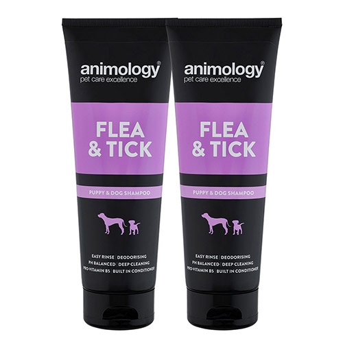 6 Best Cockapoo Shampoo's