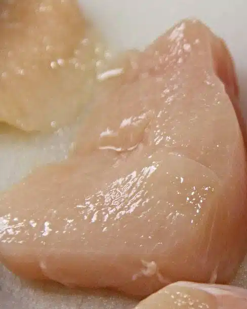 Cockapoo best sale raw diet