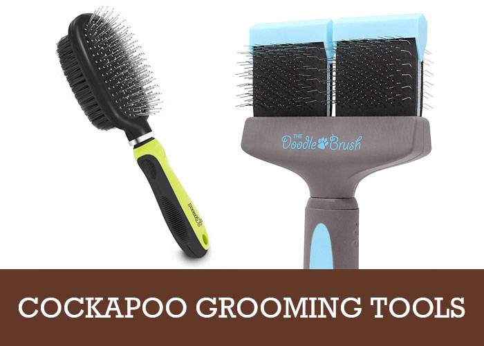 best clippers for cockapoo uk