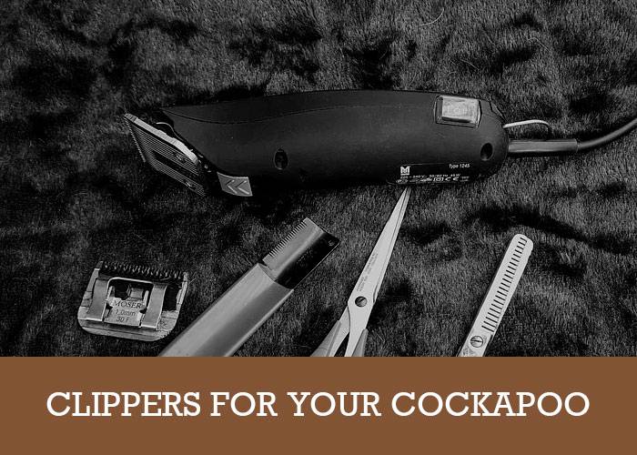 best clippers for cockapoo uk