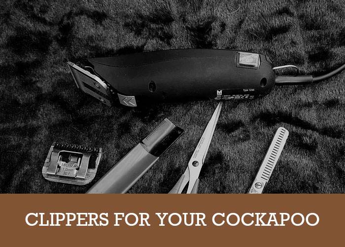 best clippers for cockapoo