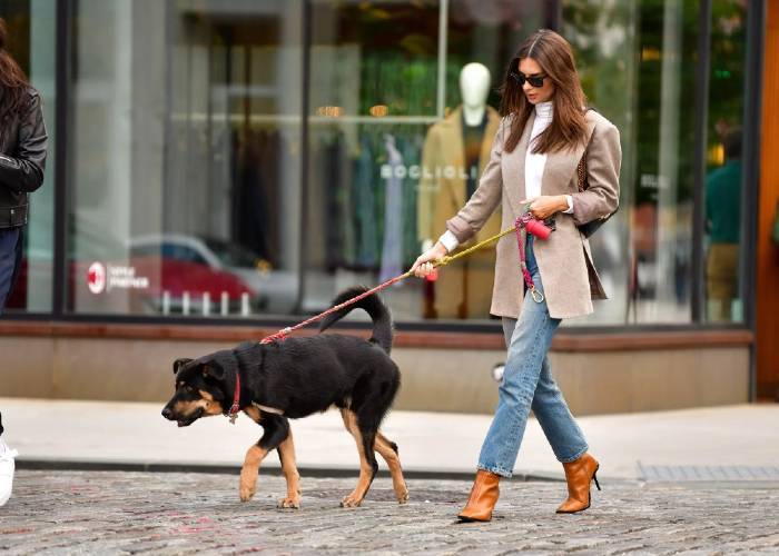 Good Dog Walking Coats (For The Humans) Cockapoo HQ