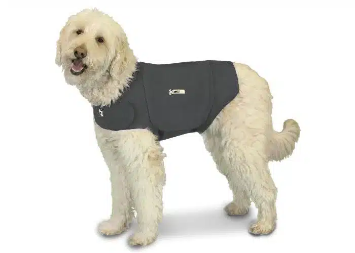 Do Anxiety_Thunder Jackets Work For Cockapoos